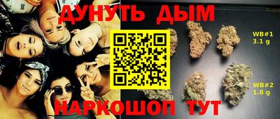 спиды Канаш