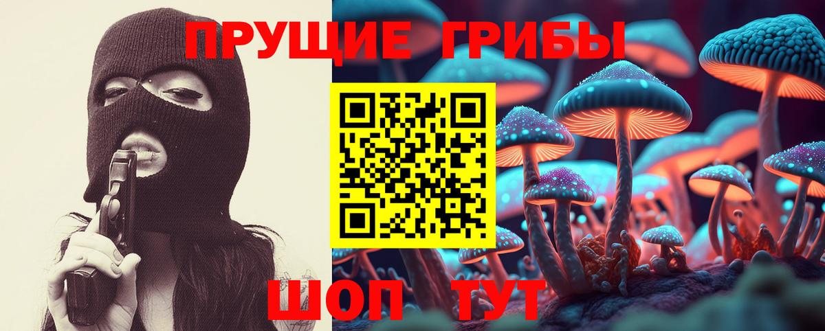 Псилоцибиновые грибы мицелий Королёв